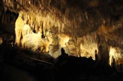 Cavern of the dragon. Porto Cristo. Majorca