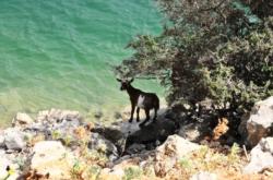 The lake Gorg Blau in Tramuntana, Majorca